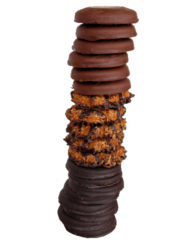 Girl Scouts recognize top cookie sellers
